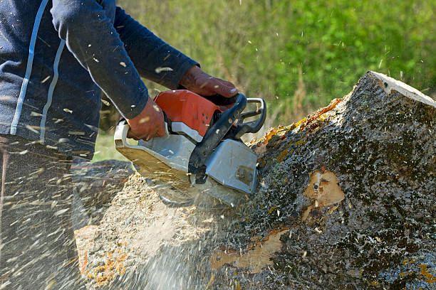 Lawn Irrigation Installation and Maintenance in Chinook, MT